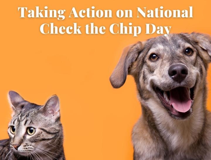 National Check the Chip Day Village Veterinary Practice